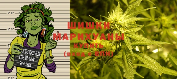 ECSTASY Иннополис