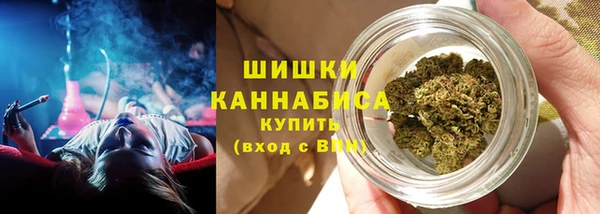 PSILOCYBIN Остров