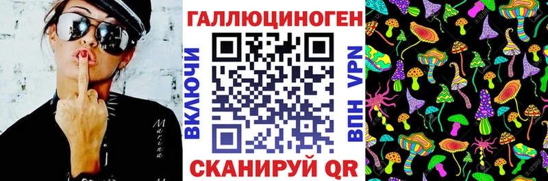 Галлюциногенные грибы MAGIC MUSHROOMS МЕГА маркетплейс Колпашево магазин продажи наркотиков